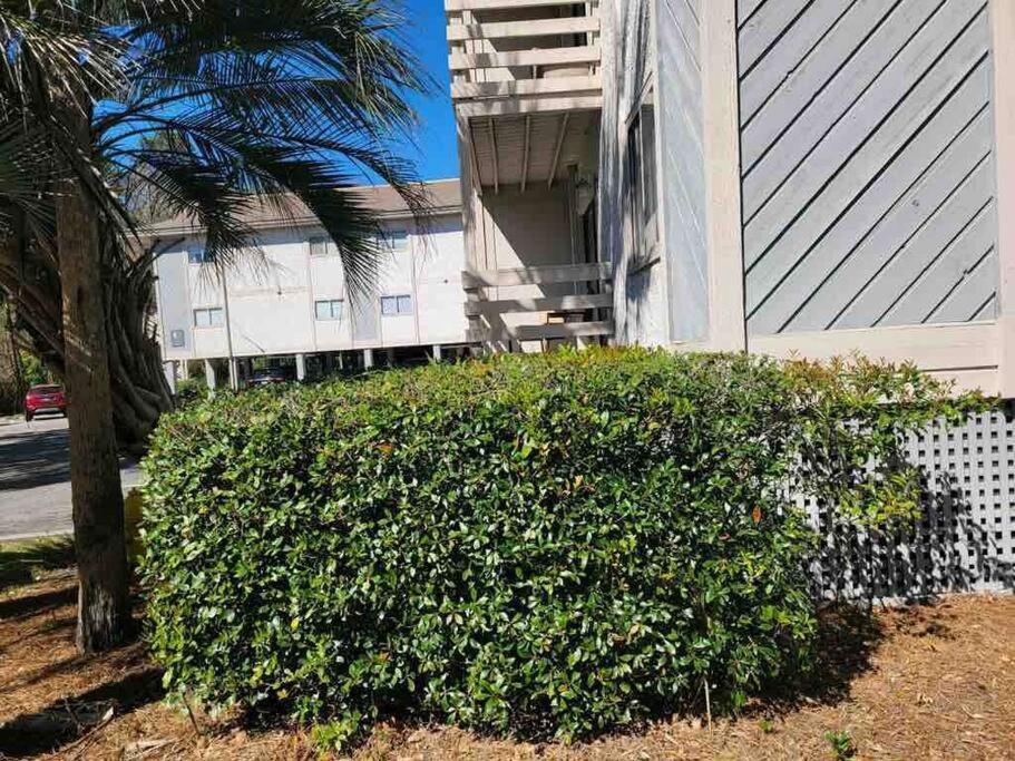 2022 Renovated 2-Bdrm Cozy, Lovely Condo W/Parking! Хилтон-Хед-Айленд Экстерьер фото